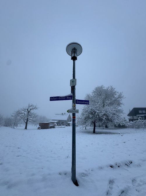 Free A snowy winter scene with a street lamp and snow-covered trees and signs. Stock Photo