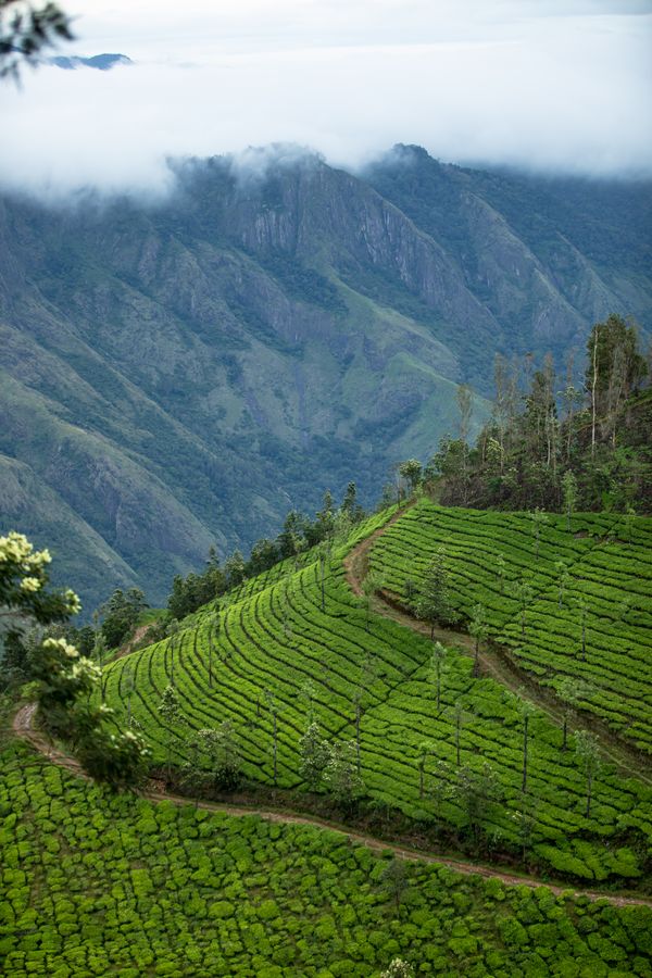 Letchmi Hills Trekking