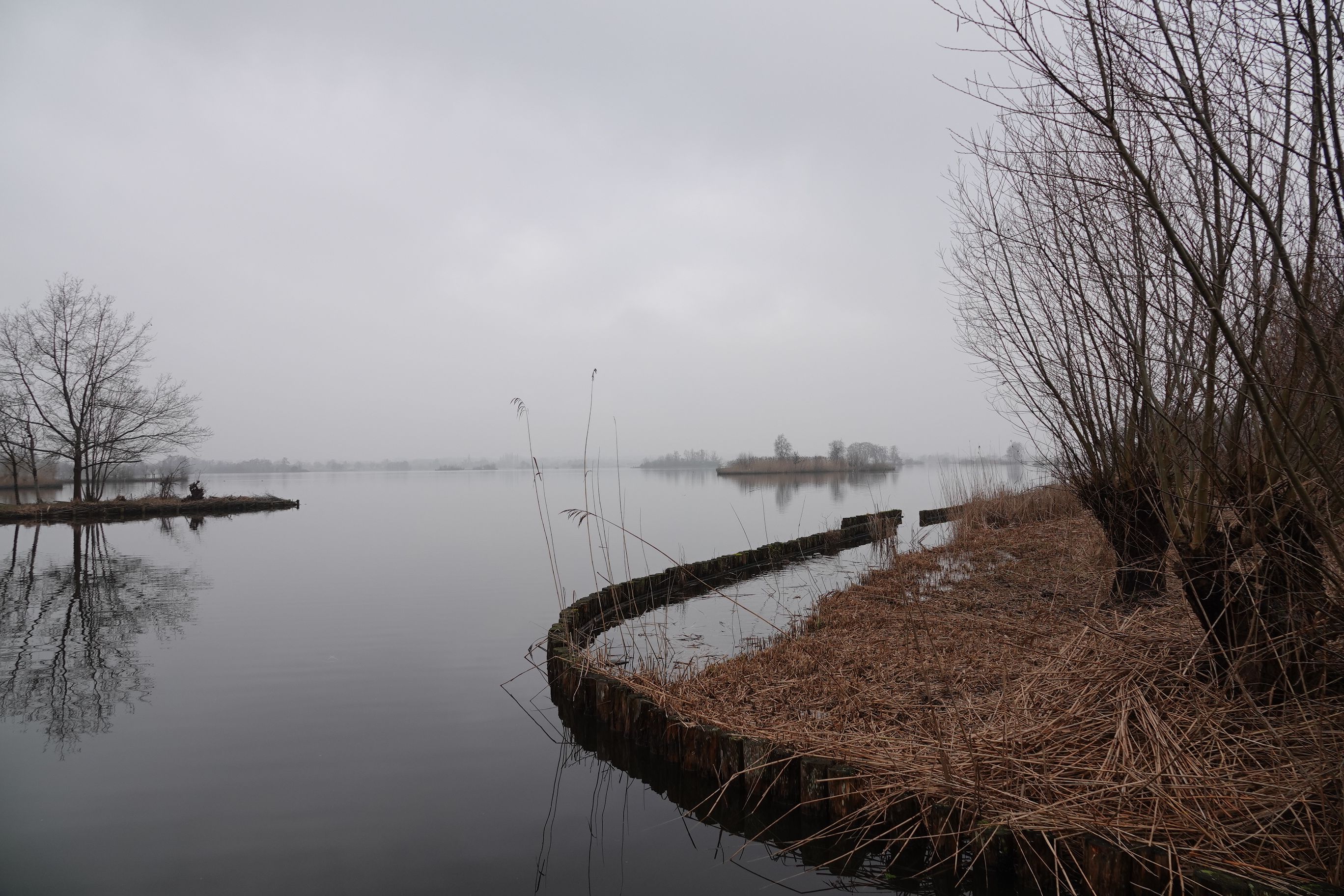 Calm winter scene with bare trees and still waters at Reeuwijk Lake, Zuid-Holland.
