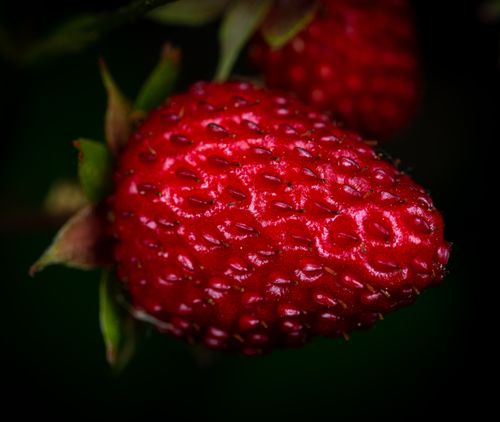 Free Detailed macro closeup of a fresh and juicy red strawberry, highlighting its vibrant colors. Stock Photo