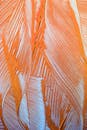 Orange and White Abstract Feather Pattern