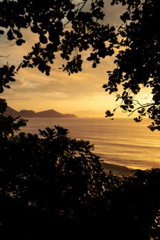 A beautiful view of the sun rising over a serene beach, framed by lush foliage.