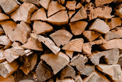 Close-up photography of Firewoods