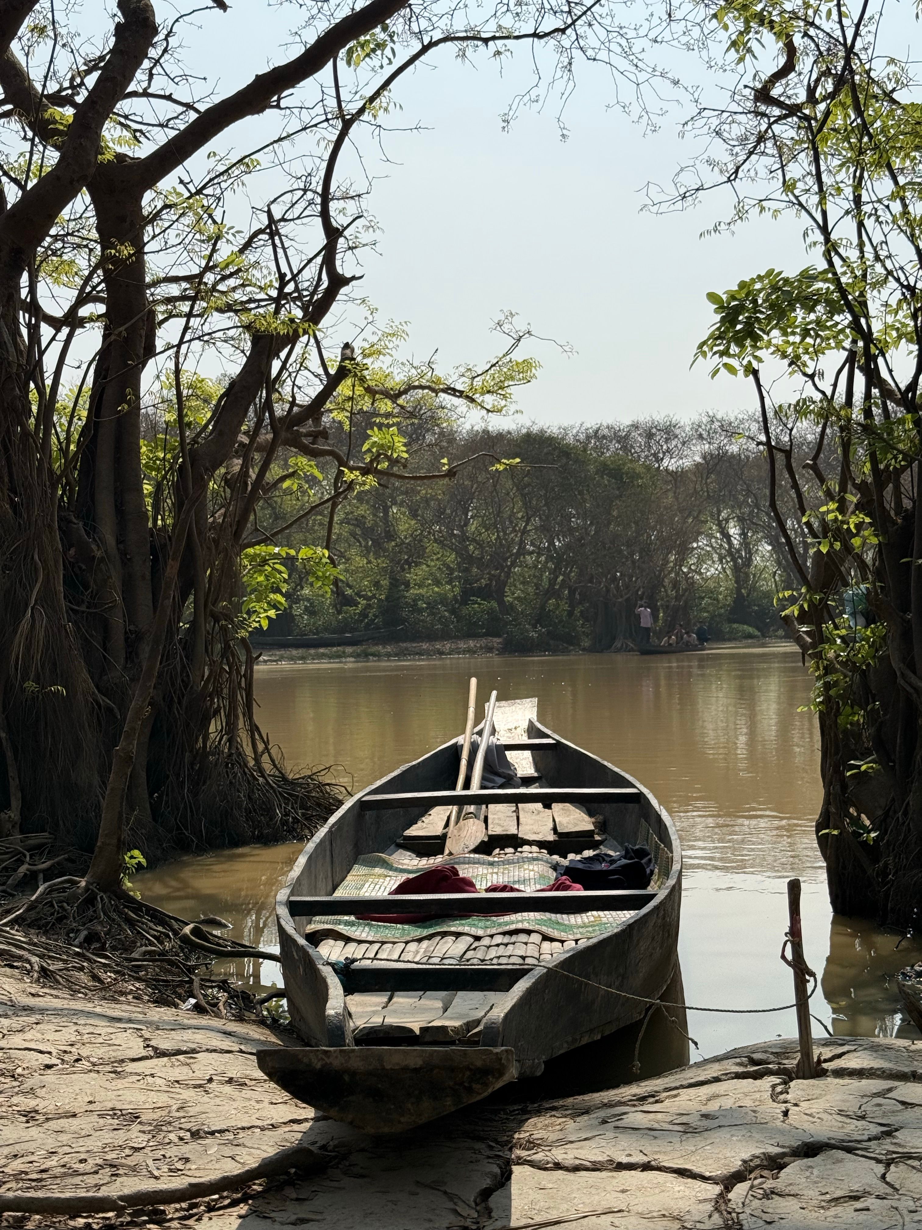 A wooden boat rests peacefully in the serene Ratargul Swamp Forest, Sylhet.