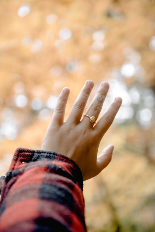Free Hand With Ring Stock Photo