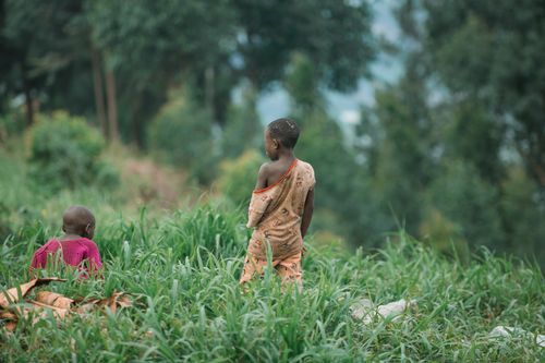 Free Children enjoying nature surrounded by lush greenery in a serene outdoor setting. Stock Photo