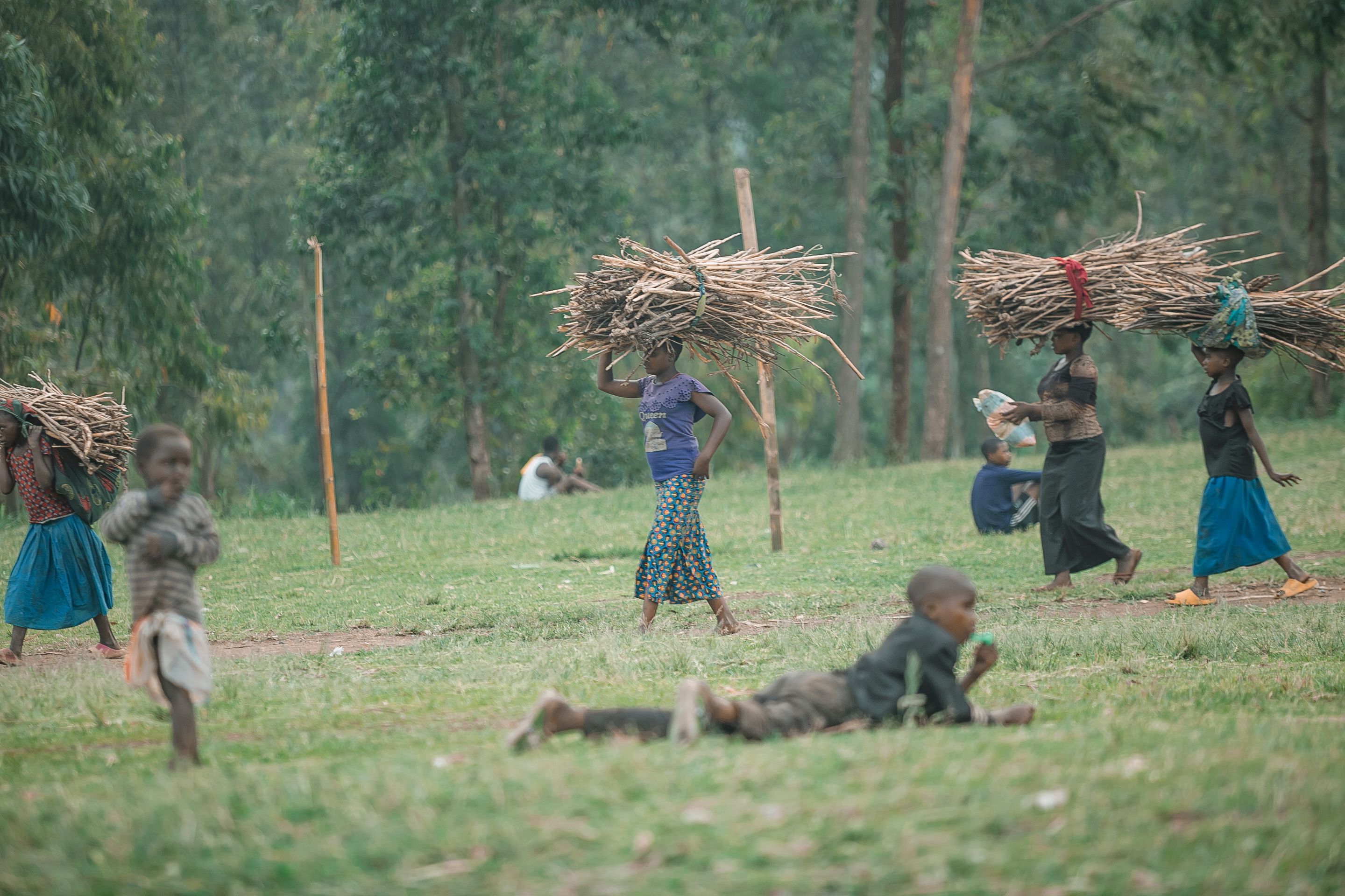 Daily Life of Children Carrying Firewood · Free Stock Photo