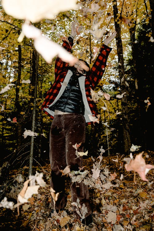 Free Person Throwing Maple Leaves Stock Photo