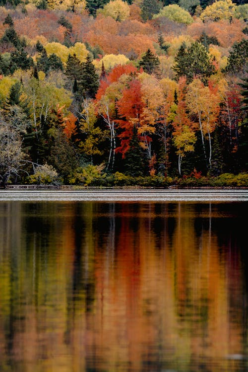 Free Ilmainen kuvapankkikuva tunnisteilla heijastus, järvi, joki Stock Photo