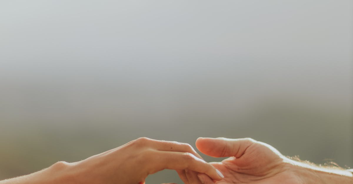 寄家招募不容易 光有愛心還不夠