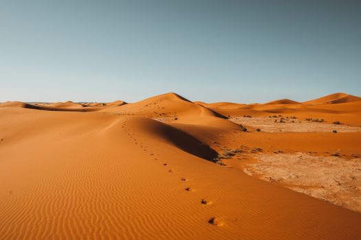 Dune sandboarding morning — Sahara — Erg Chebbi