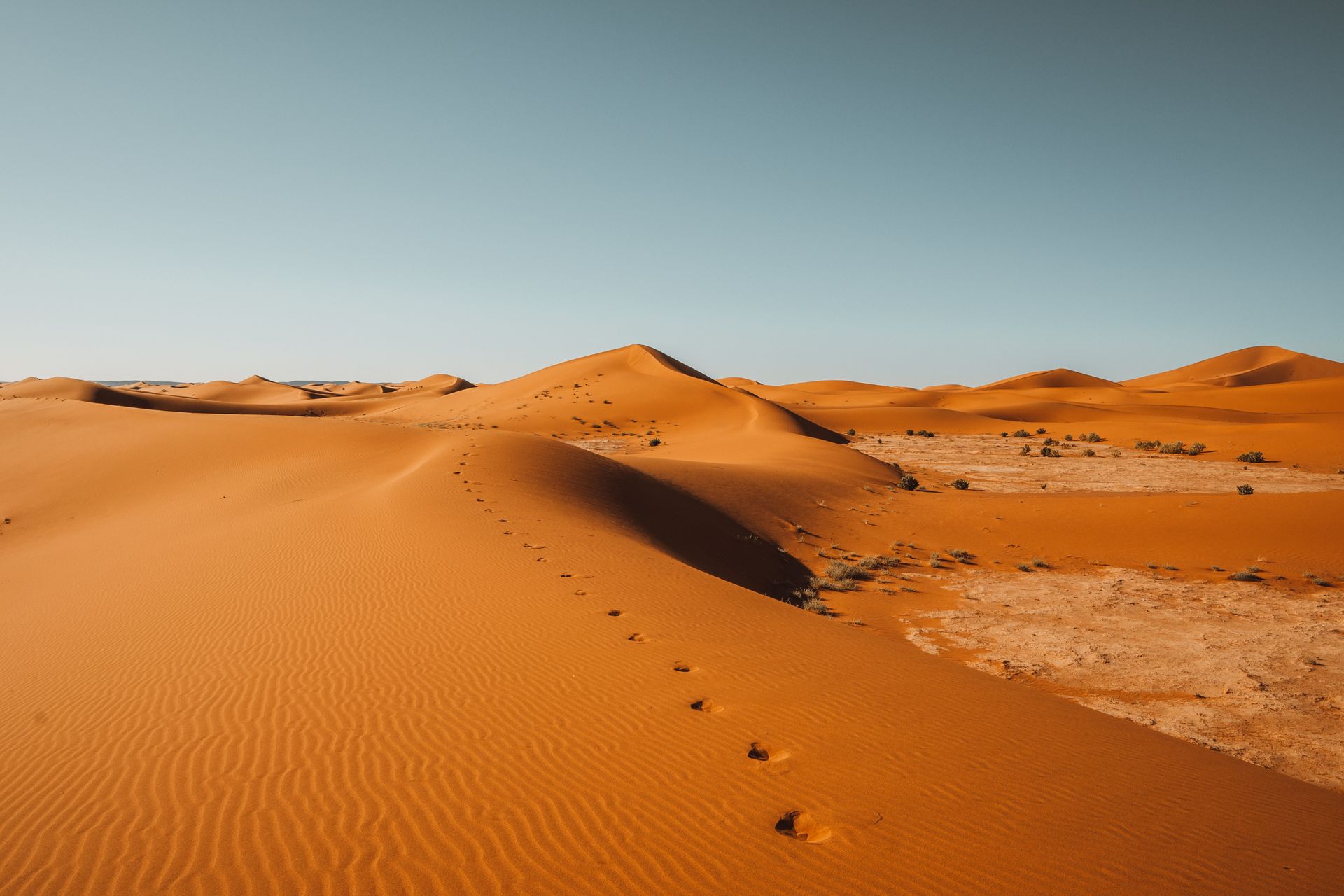 Golden dunes of the Sahara desert in Morocco