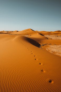 Tranquil view of the Sahara Desert's golden dunes in Morocco under a clear blue sky.
