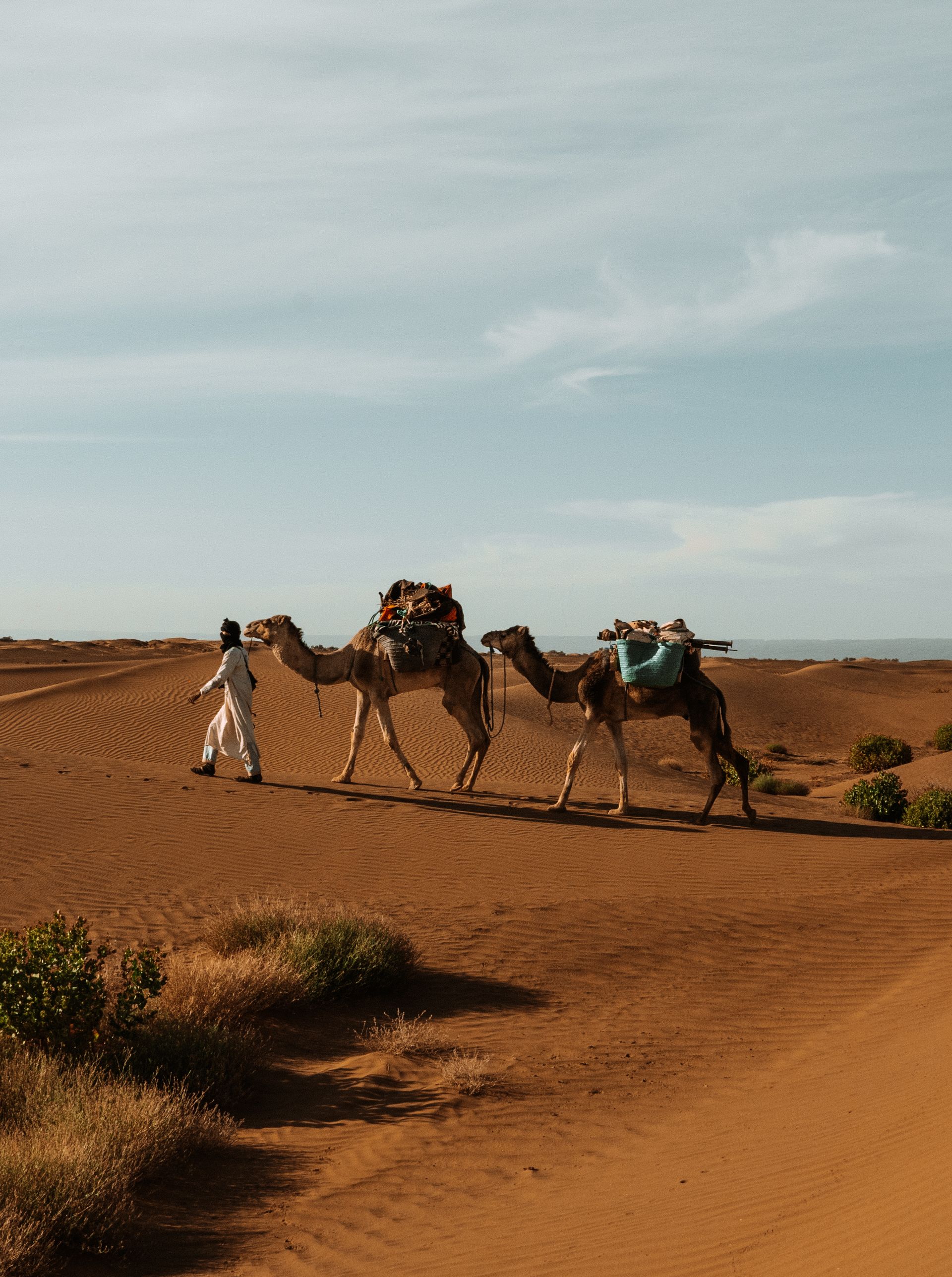 2-Day Merzouga Sahara Desert Tour from Ouarzazate