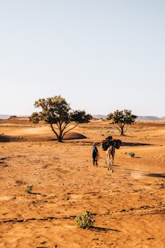 A person and camel traverse the vast Sahara desert in Morocco under a clear sky.