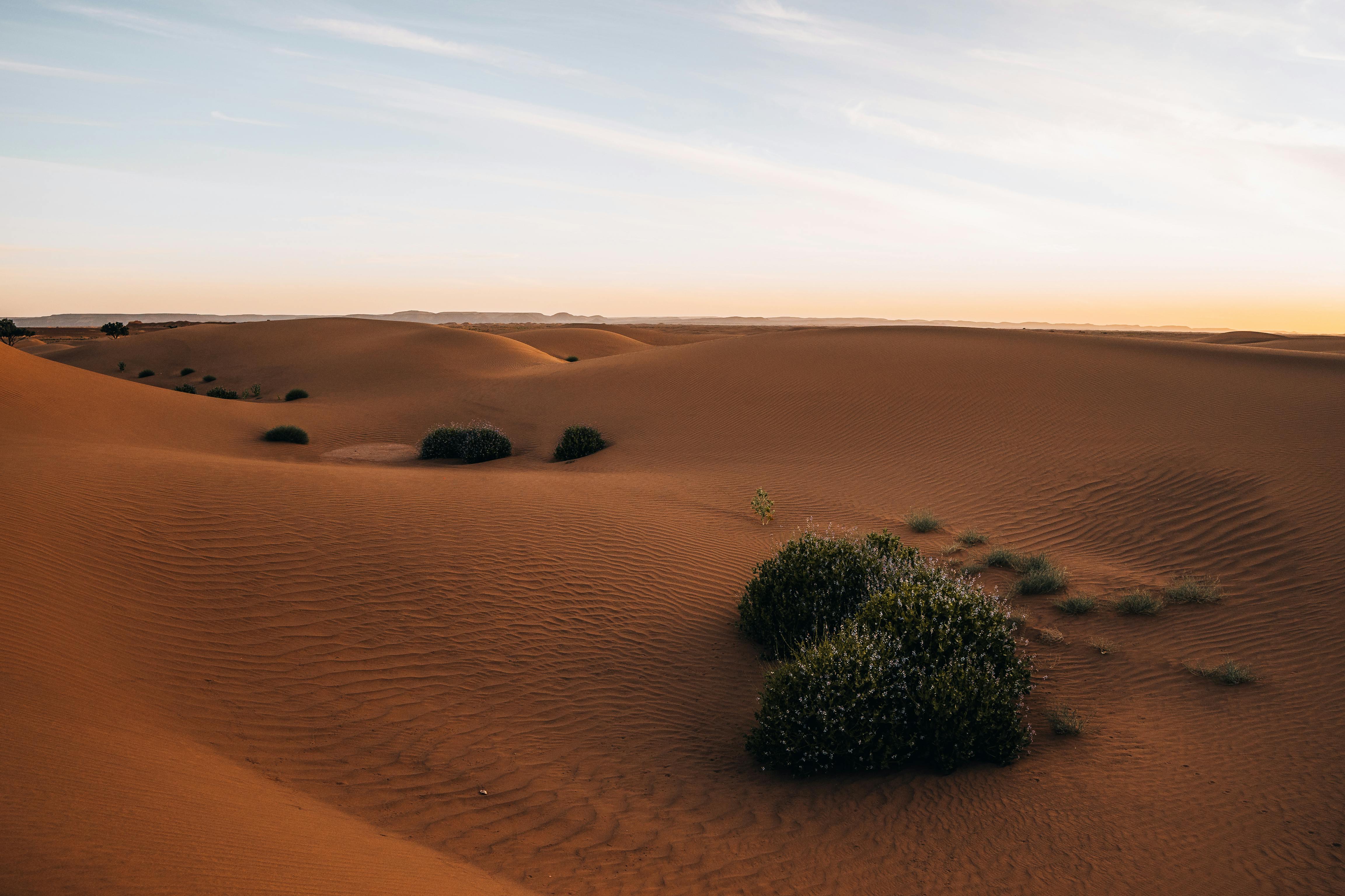 Circuit désert de luxe — dunes du Sahara marocain