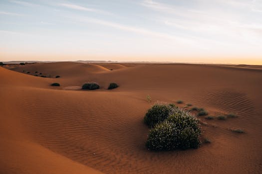 Captivating view of the Sahara's golden dunes at sunset in Morocco, showing natural beauty and tranquility.