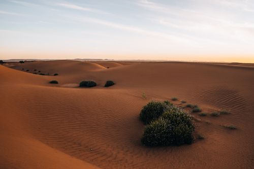 Free Captivating view of the Sahara's golden dunes at sunset in Morocco, showing natural beauty and tranquility. Stock Photo