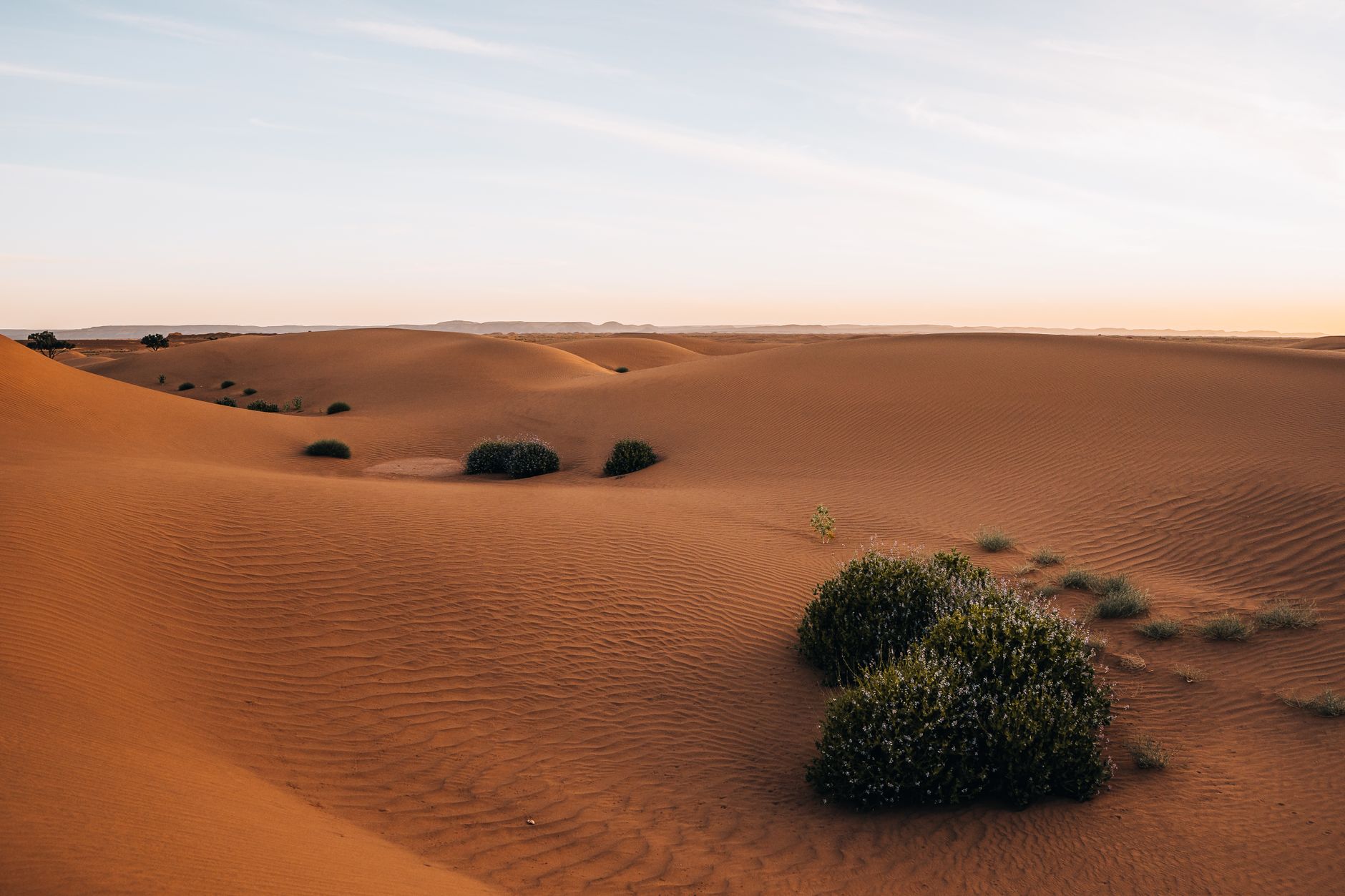 Sahara — Erg Chebbi, Morocco