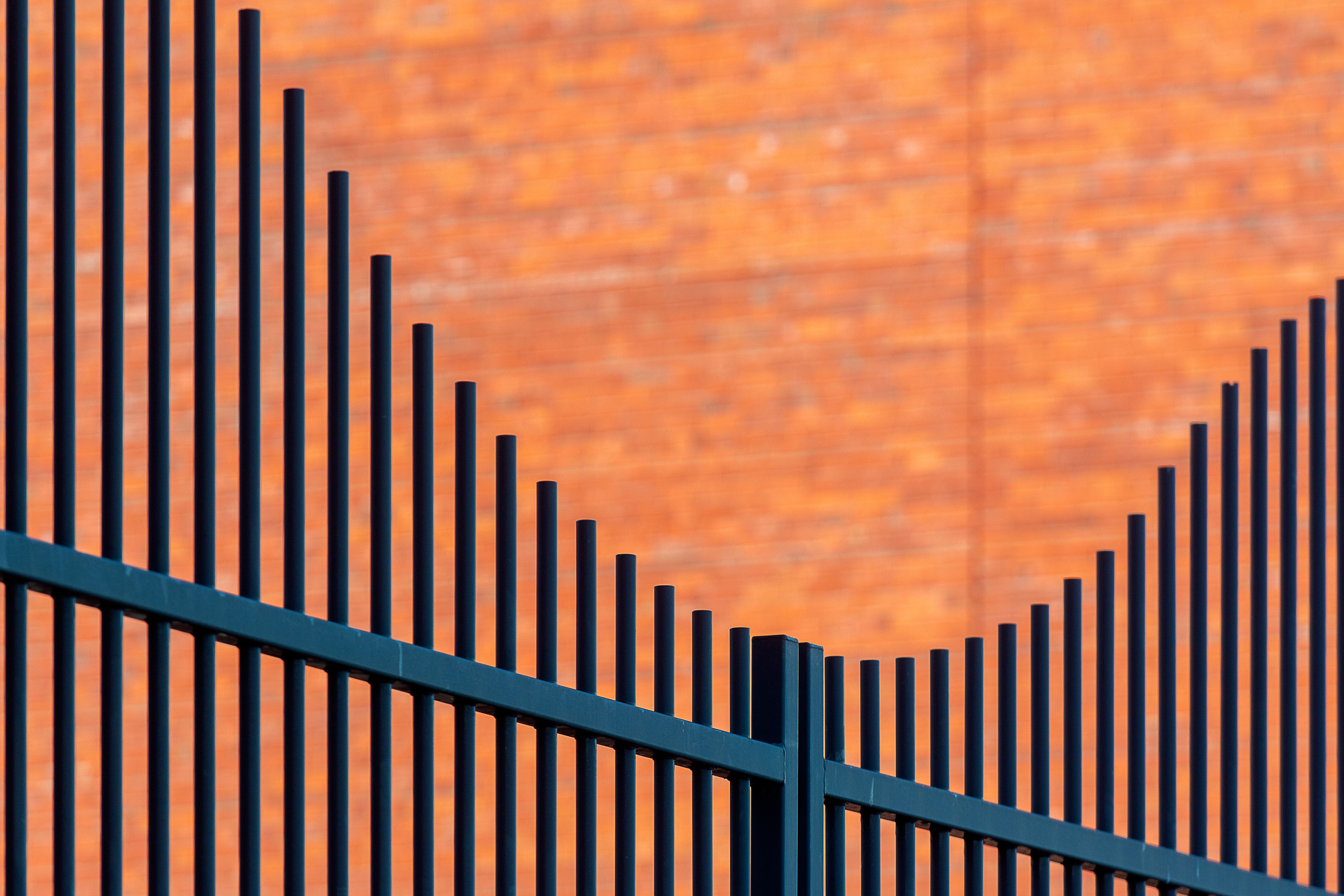 Fence and Decking Painting in Bow — quality trade paint going on in two coats