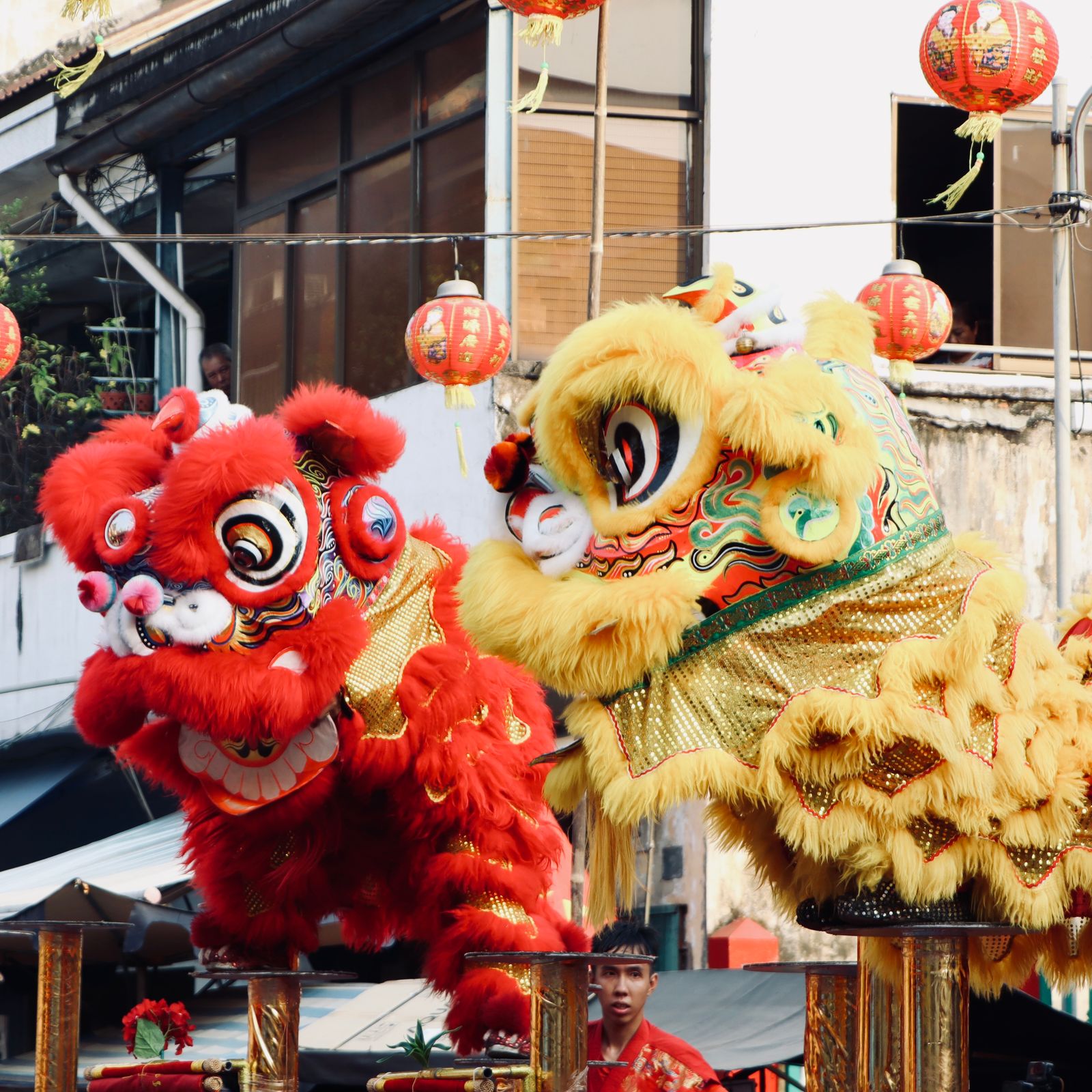 Chinese New Year