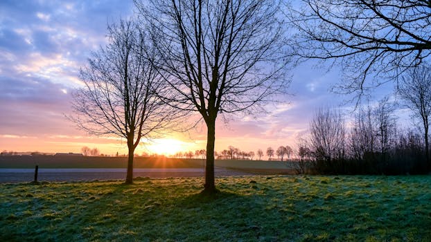 Image by Lorna Pauli