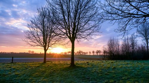 Free A peaceful winter sunset over a frosty field in Sittard, showcasing the beauty of Limburg's landscapes. Stock Photo