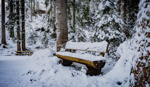 Free Serene snowy forest scene with a rustic wooden bench. Perfect winter setting. Stock Photo