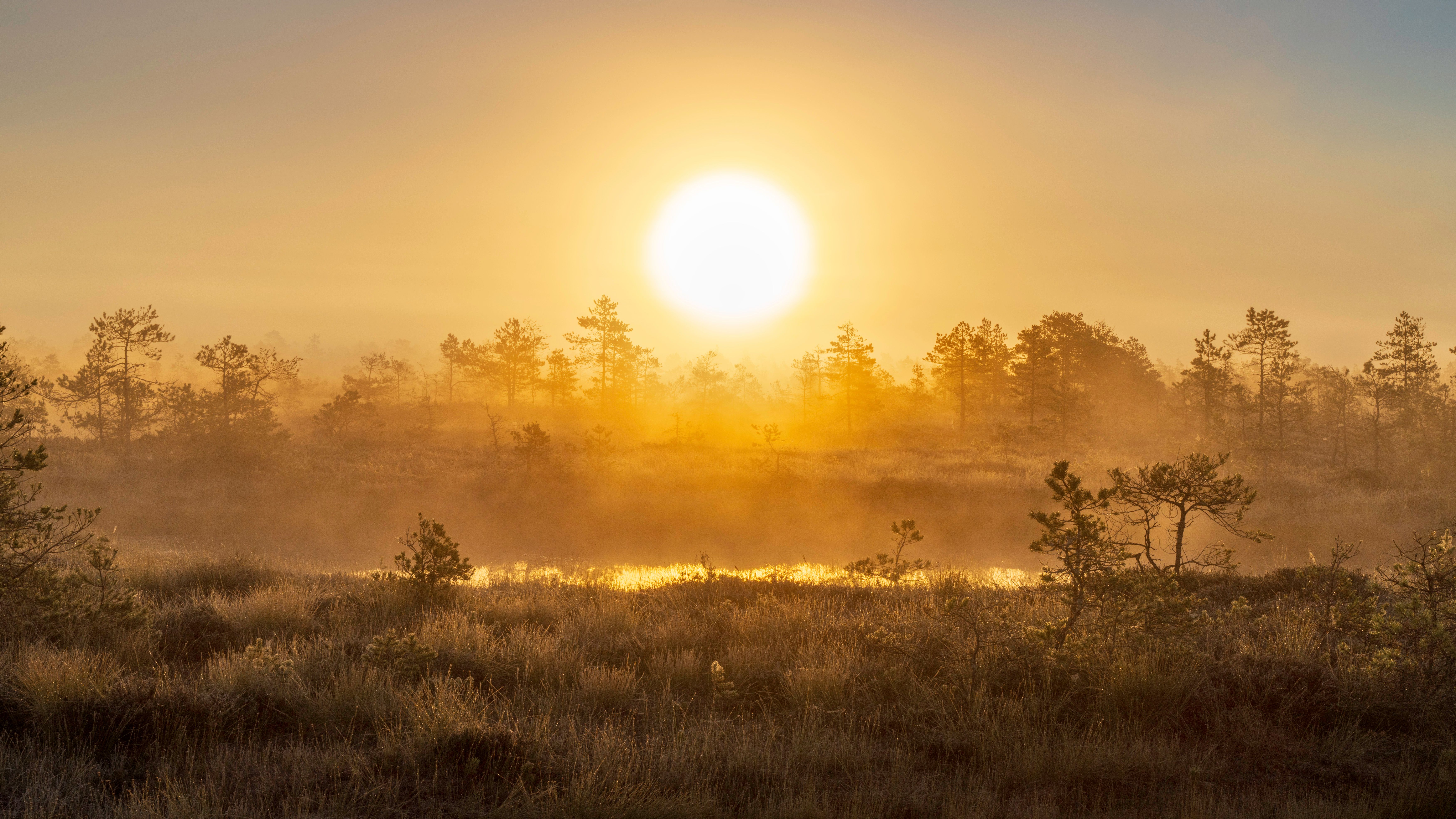 environmental factors nature