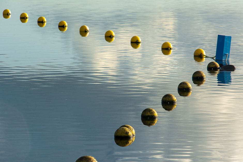 Yellow buoys floating on tranquil water surface with sky reflections.