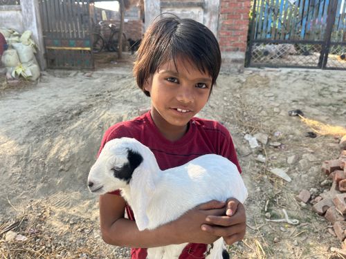 Free Young child joyfully cuddling a baby goat in a village setting in Uttar Pradesh, India. Stock Photo