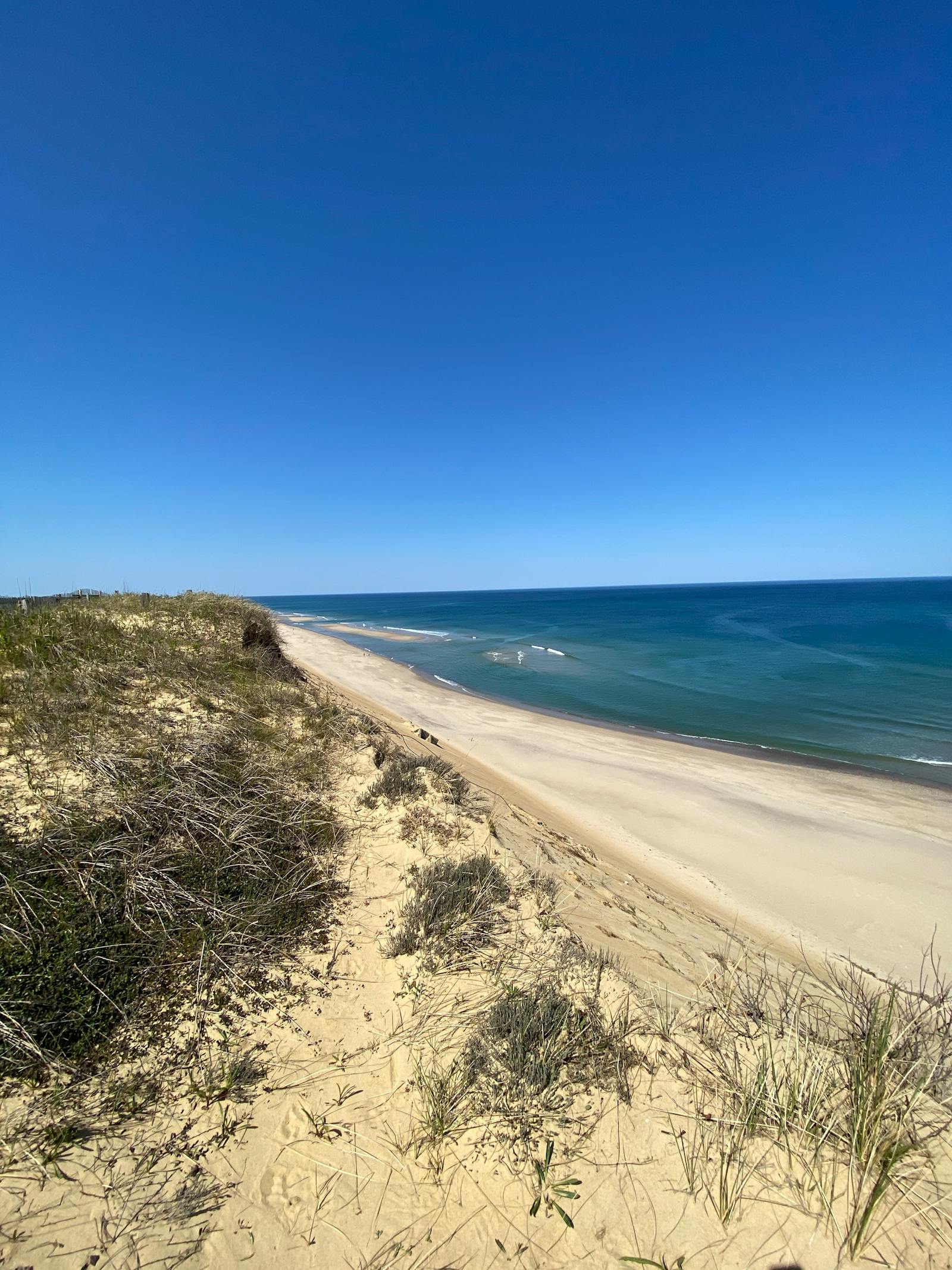 Cod Photos, Download The BEST Free Cod Stock Photos & HD Images