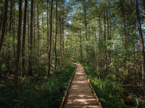 Image by Alena Voitsik