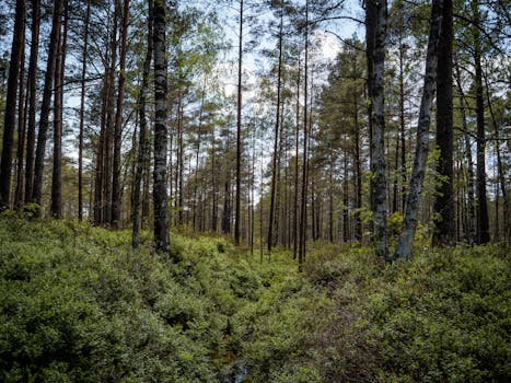 Image by Alena Voitsik