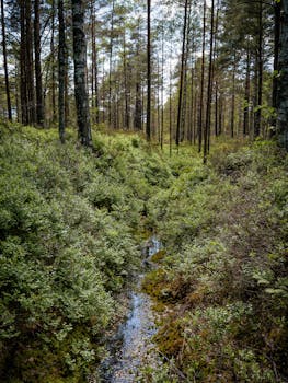 Image by Alena Voitsik