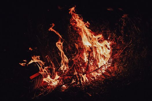 Twigs burning at dark night