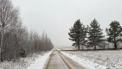 Free A tranquil winter scene of a snow-covered road surrounded by frosty trees and fields. Stock Photo