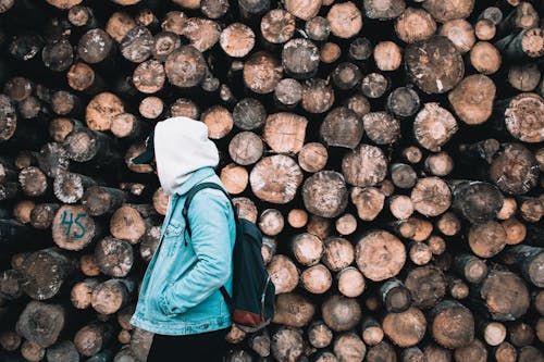 Person Wearing Hoodie Near Pile Of Logs