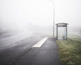 在瑞典卡尔沙姆一条空荡荡的道路上，一个孤独的公交车站笼罩在诡异的雾天早晨中