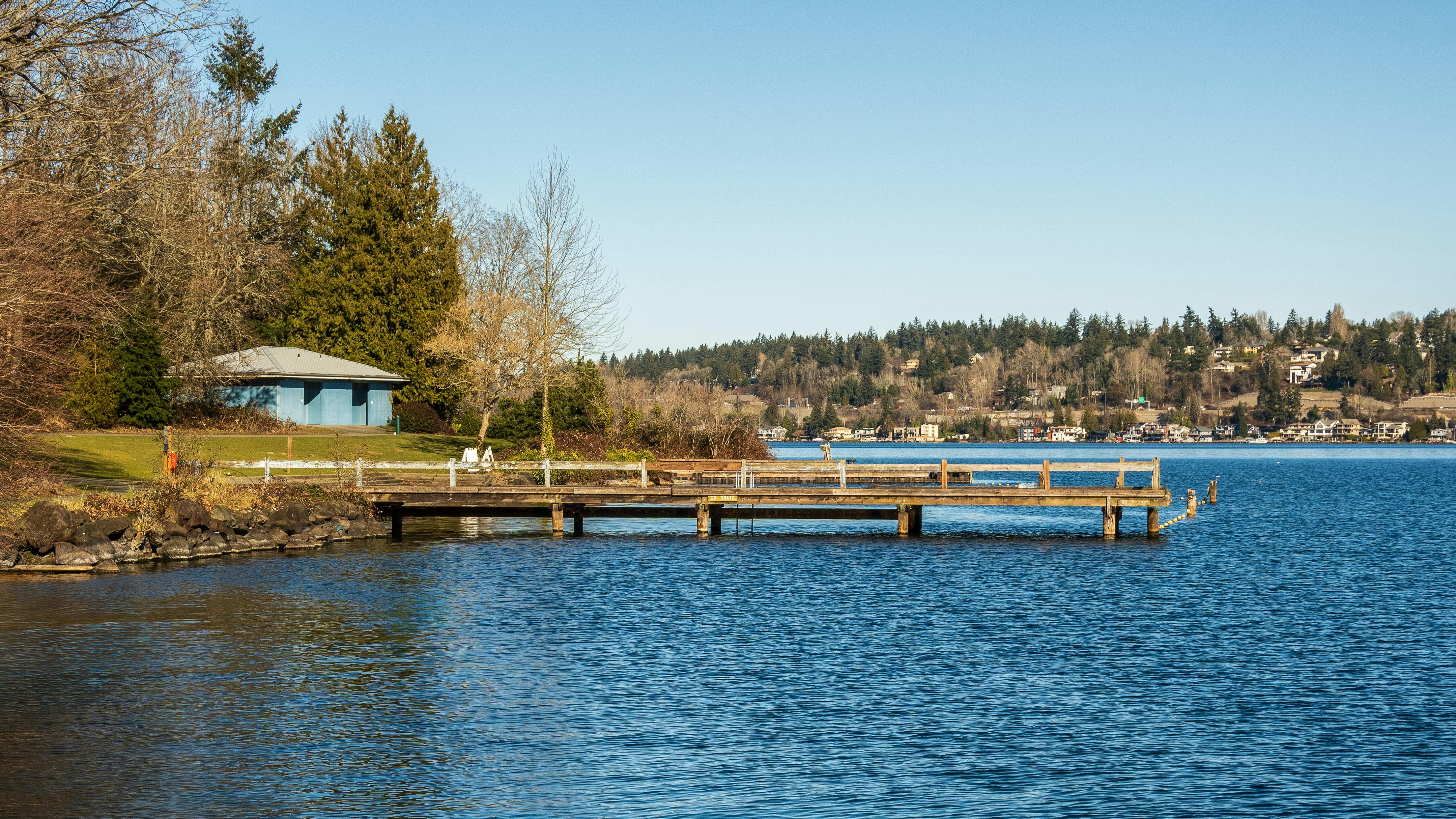 Lifestyle Lookout: Bellingham Improv Festival, exotic pets at the fairgrounds, holiday events and more in Whatcom County — Ph