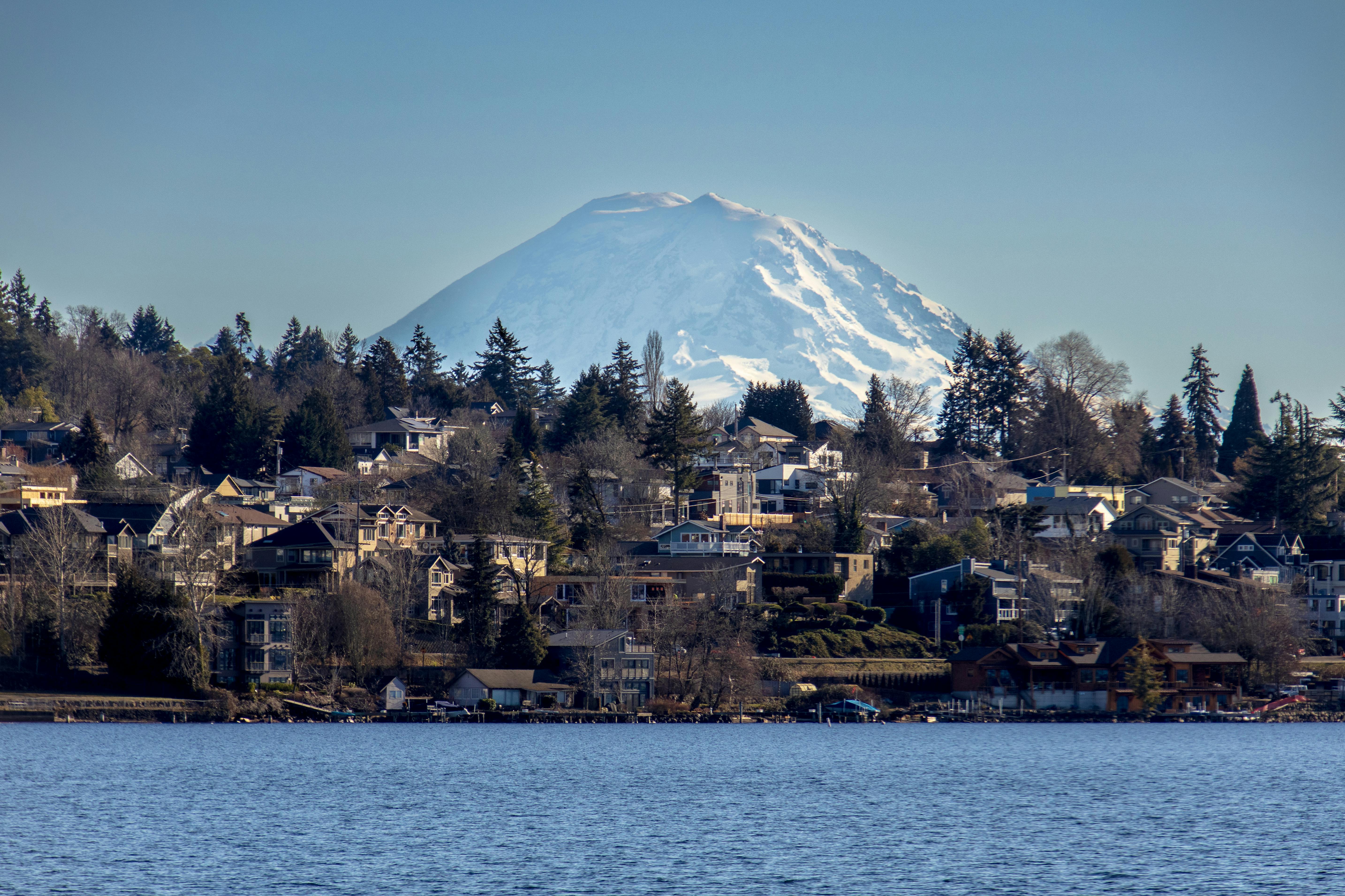 Renovation Services in University