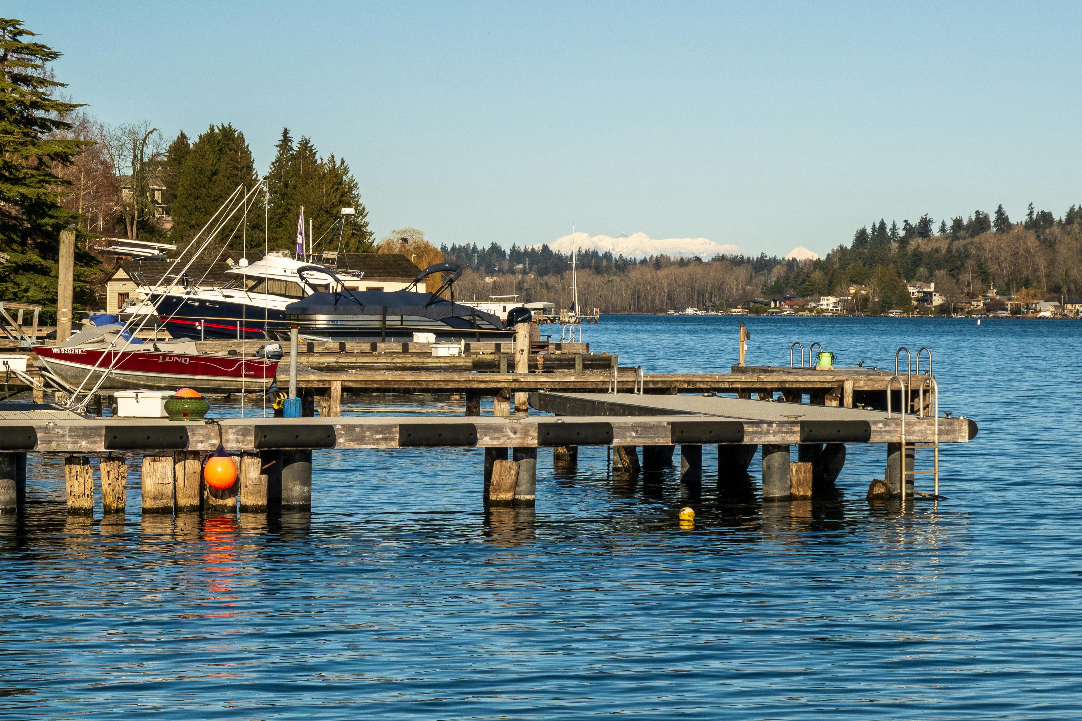 Peaceful lakeside dock with boats and forest backdrop under clear blue sky.