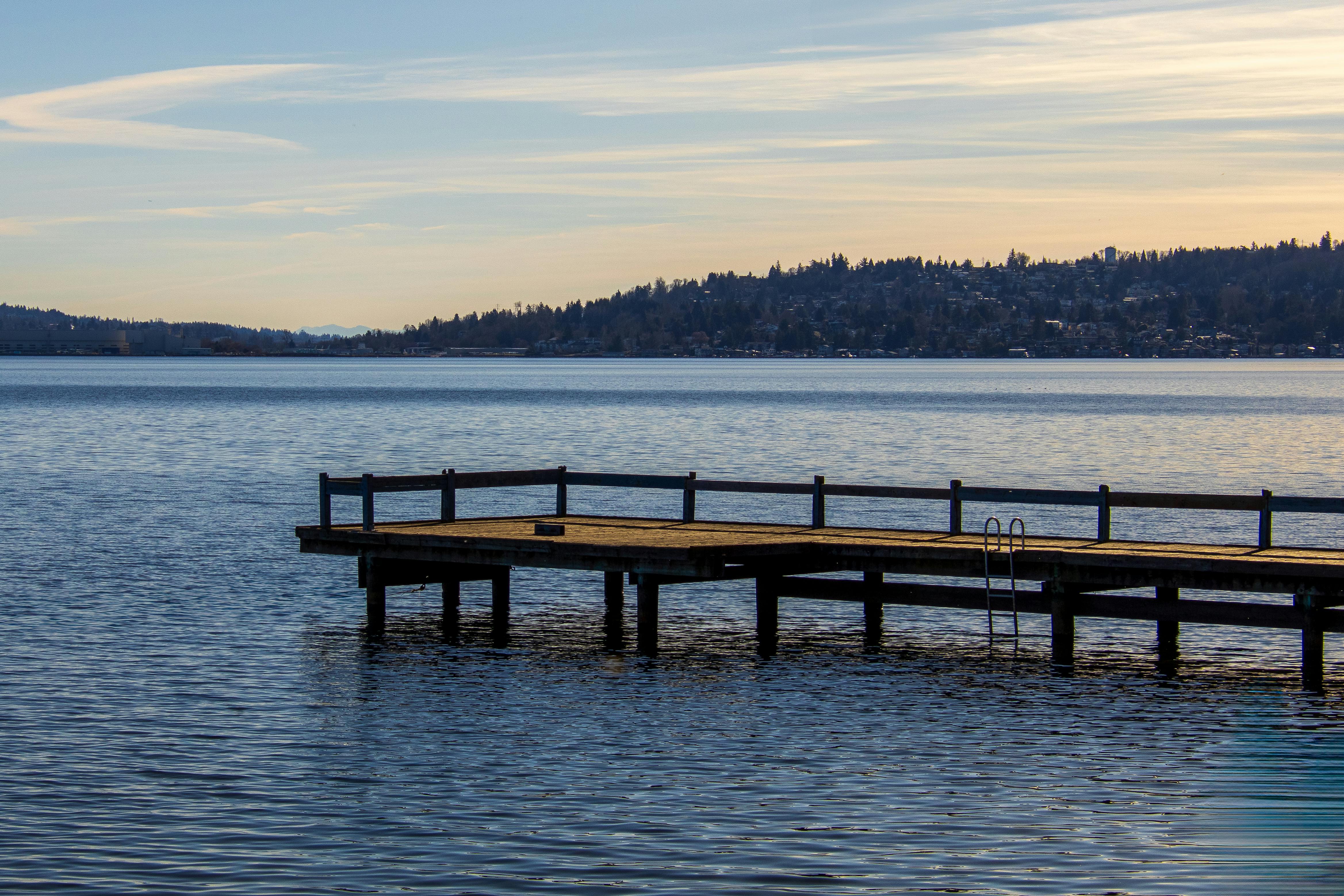Lifestyle Lookout: Bellingham Improv Festival, exotic pets at the fairgrounds, holiday events and more in Whatcom County — Ph
