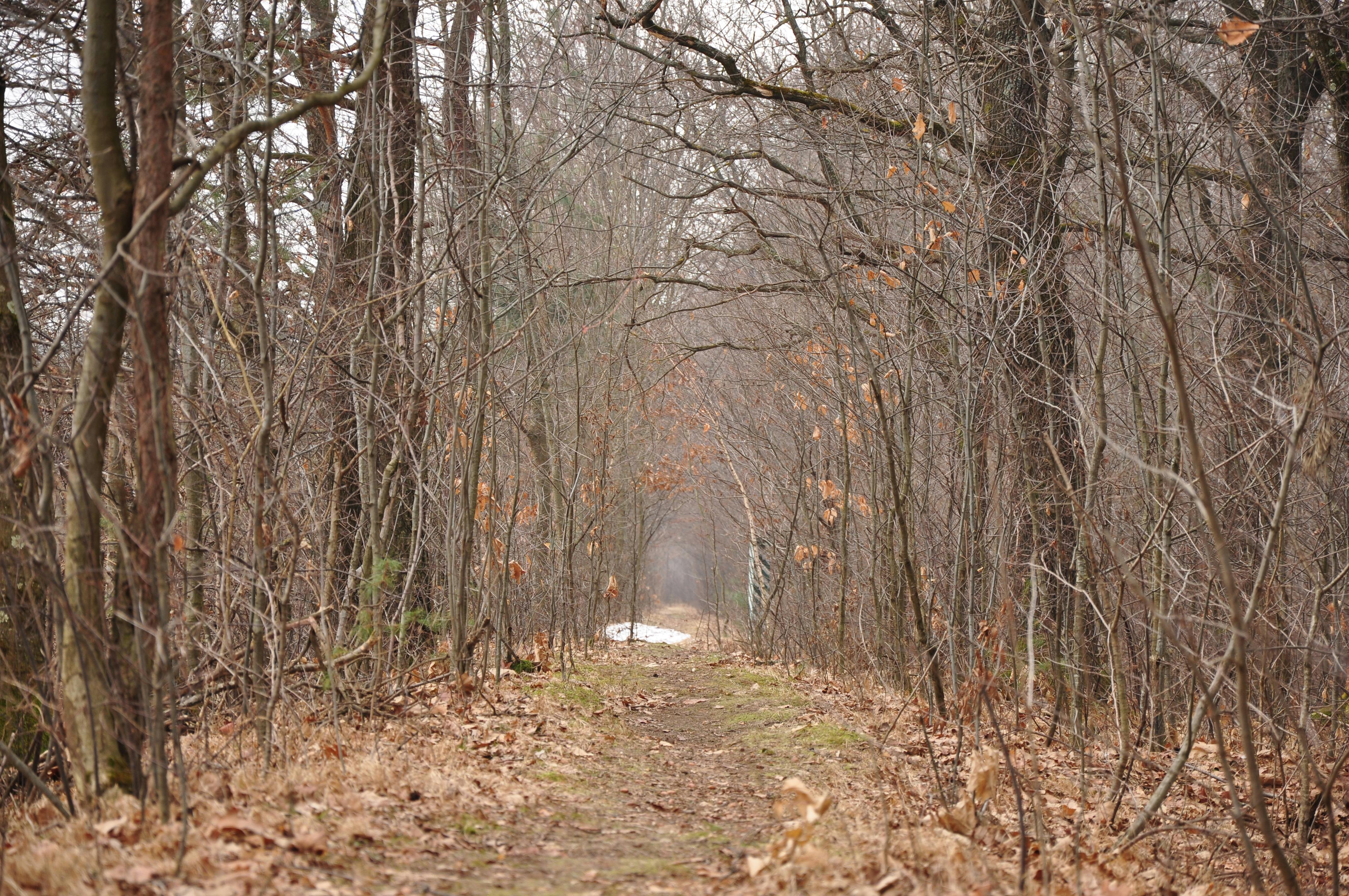 DuPage Forest Preserve executive director leaving for city manager job in Florida — Photo by Оля Дмитрів on Pexels