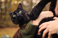 一只可爱的黑猫睁着明亮的眼睛，被人抱着在外面享受一天的时光