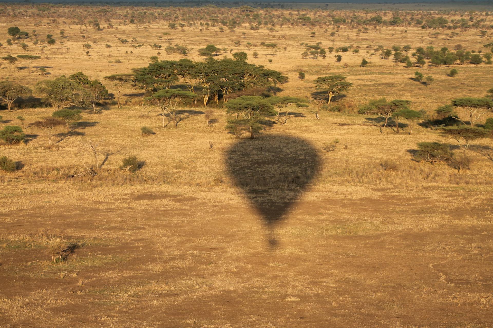 Shadow of a hot air balloon cast over the vast African savannah landscape during the day.