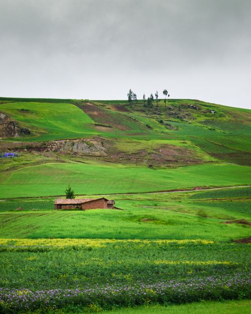 Free Serene green fields and hills in Cusco, Peru, showcasing rural beauty and tranquility. Stock Photo