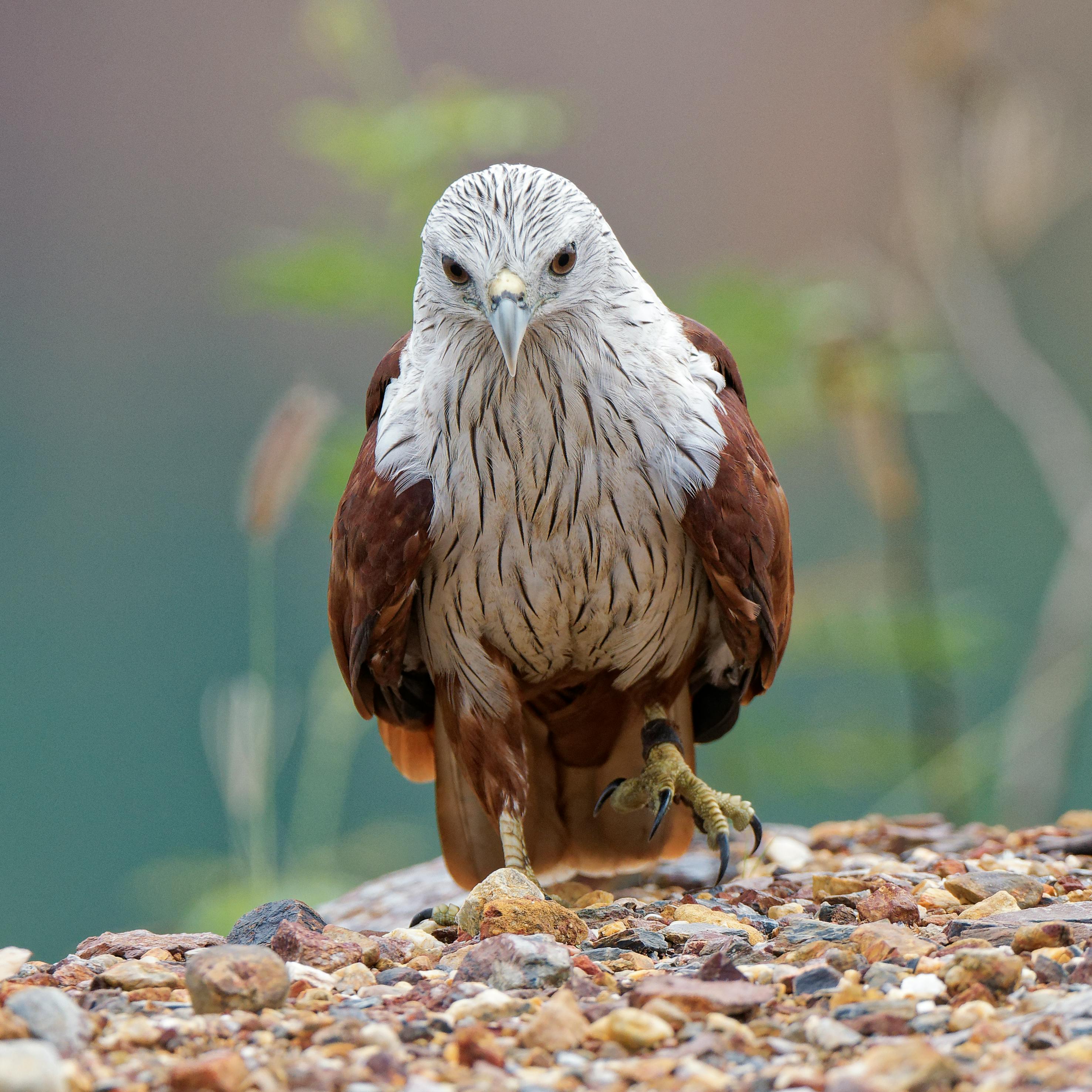 Exclusive Scavenger Hunts Photos, Download The