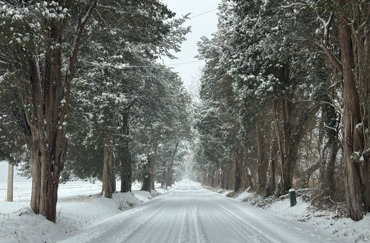 Snow-covered road in Chestertown, MD
