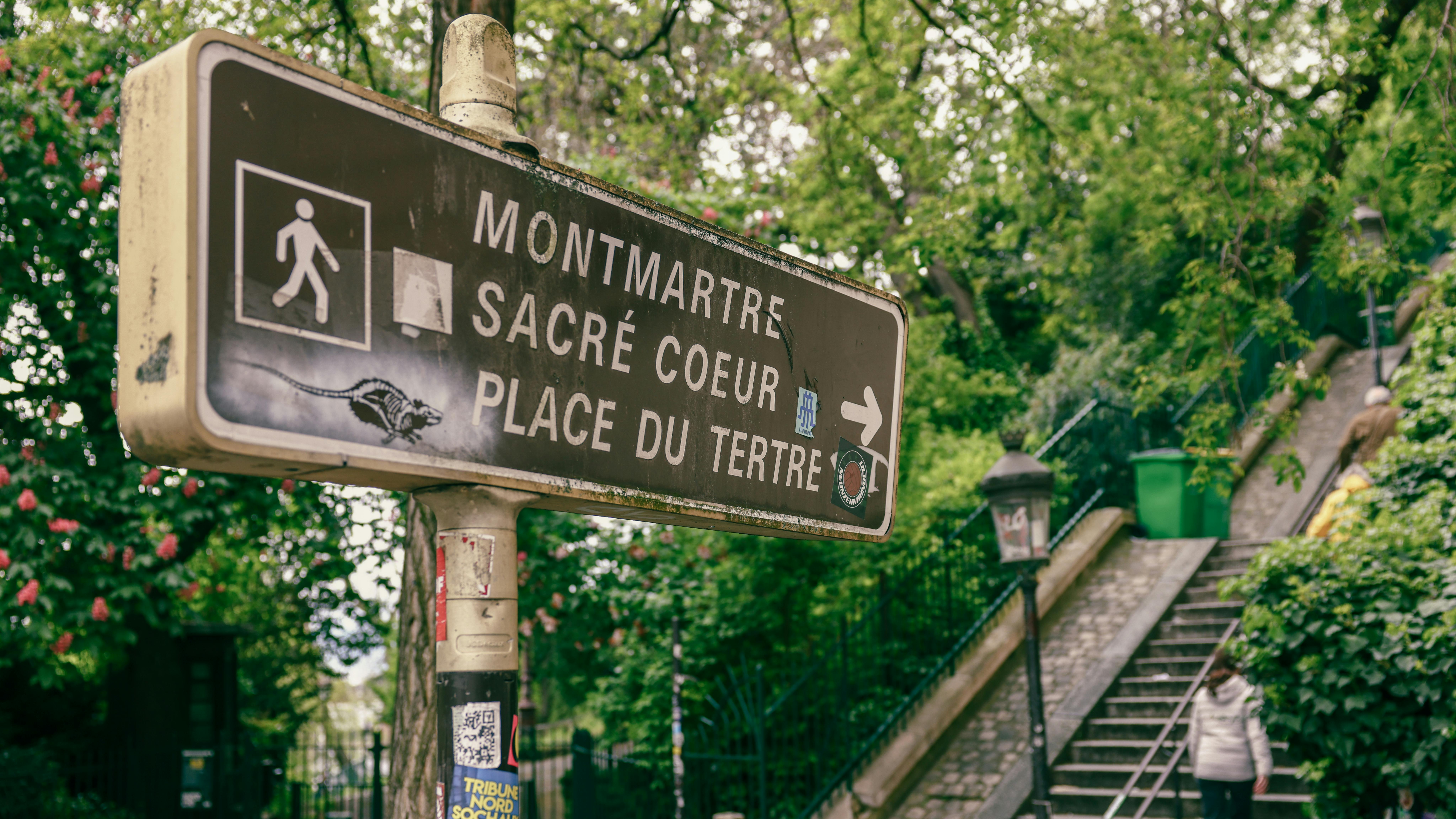 Free stock photo of adventure travel